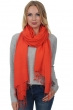 Cashmere & Silk accessories shawls platine mandarin red 201 cm x 71 cm